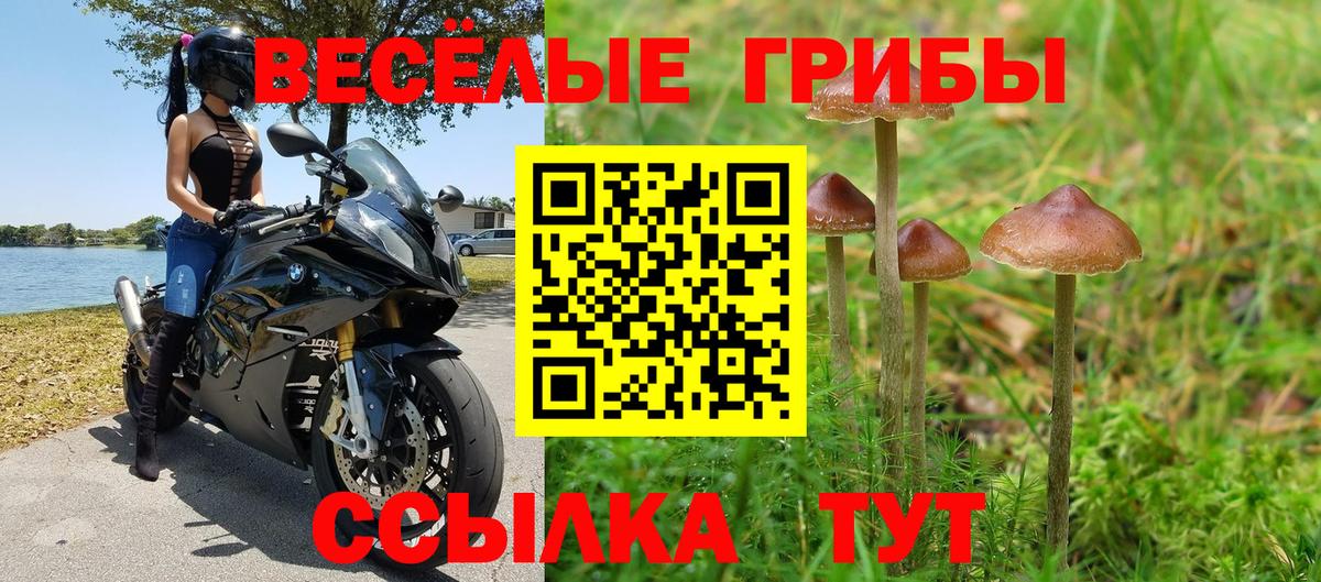Галлюциногенные грибы Psilocybine cubensis  Вход с VPN  что такое наркотик  Мариинск 
